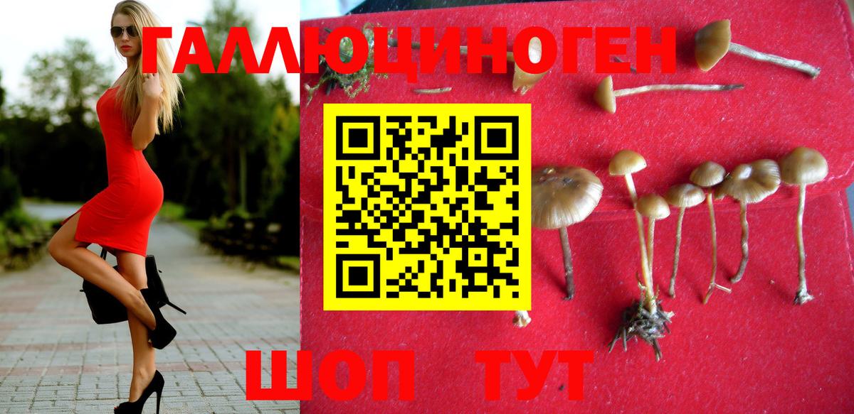 Галлюциногенные грибы мухоморы  Вход с VPN  купить  цена  Фурманов 