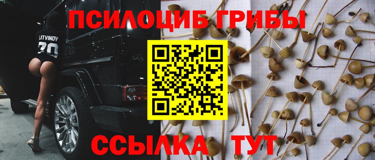 Псилоцибиновые грибы Magic Shrooms Фурманов